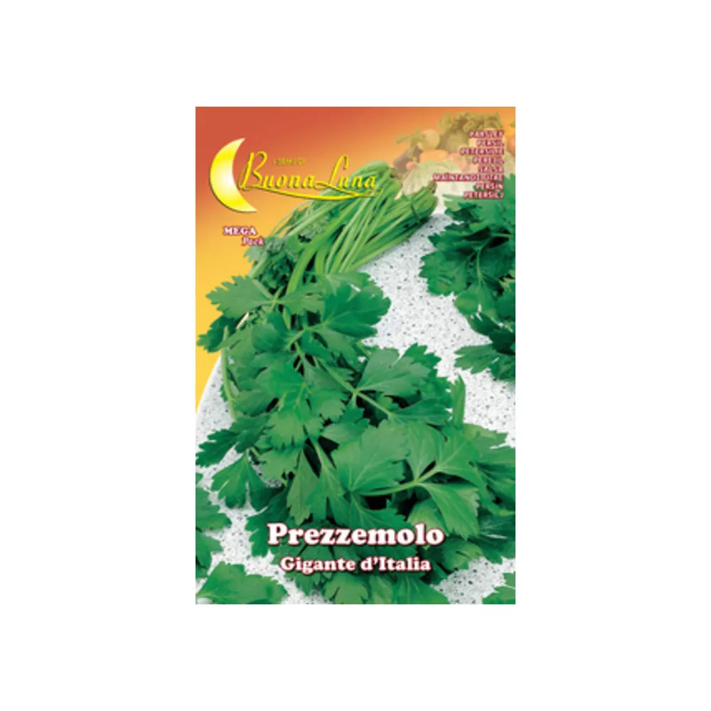 SEMI ORTO PREZZEMOLO GIGANTE (10