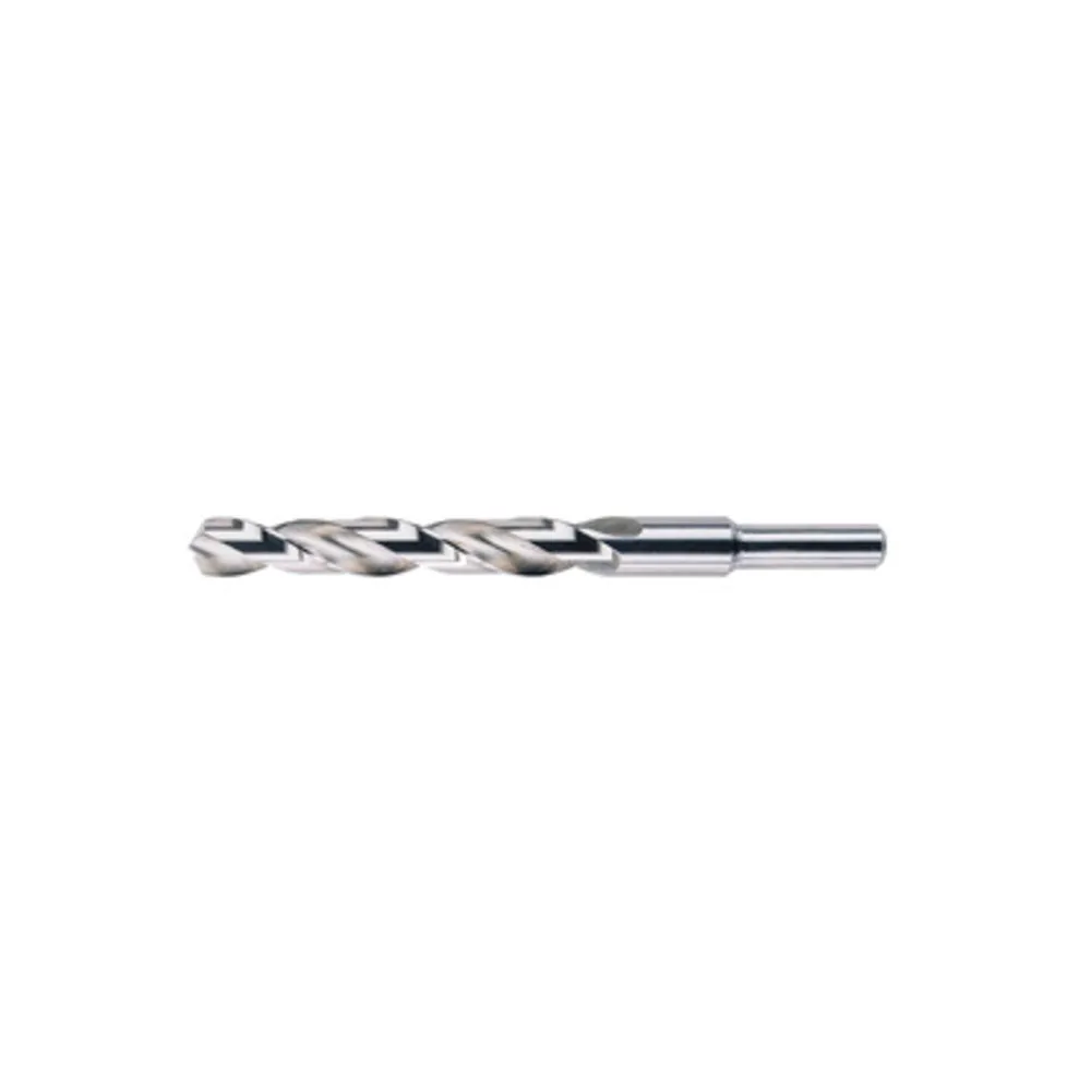 PUNTA HSS RETTIFICATA CODOLO 13 MM D 14 PUNTA HSS RETTIFICATA CODOLO 13 MM D 14