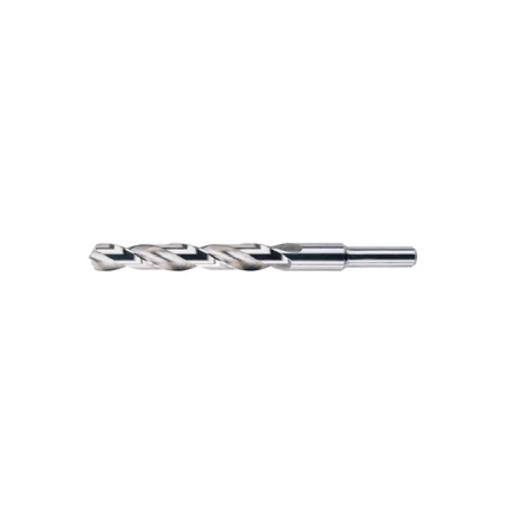PUNTA HSS RETTIFICATA CODOLO 13 MM D 14 PUNTA HSS RETTIFICATA CODOLO 13 MM D 14