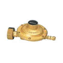 PL REGOLATORE GAS TARATURA FISSA BASSA PRESSIONE (6