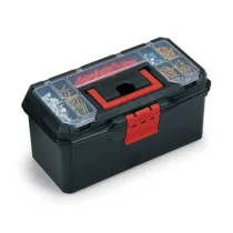 CASSETTA PORTAUTENS TERRY TOOL CASE 13 325X155X130 MM* (6