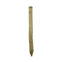 PALO PUNTA IN PINO IMPREGNATO D  8XH250 CM