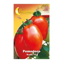 SEMI ORTO POMODORO ROMA (10
