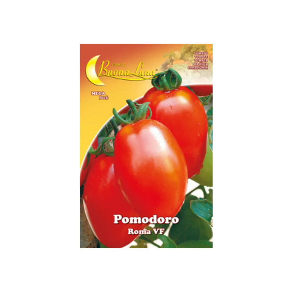 SEMI ORTO POMODORO ROMA (10