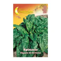 SEMI ORTO SPINACI GIGANTI (10