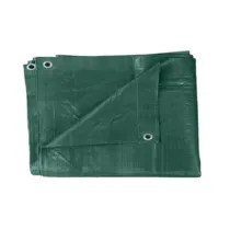 TELONE PE PESANTE C/OCCHIOLI 110 G VERDE  6 X  8 M (2