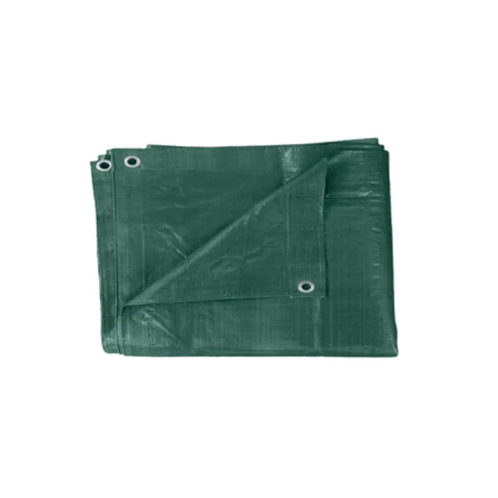 TELONE PE PESANTE C/OCCHIOLI 110 G VERDE 6 X 8 M (2 TELONE PE PESANTE C/OCCHIOLI 110 G VERDE 6 X 8 M (2