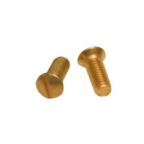 SC VITI OTTONE P/COPRINTERRUTTORE 10 PZ (5