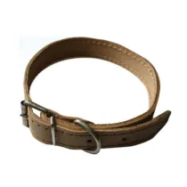 COLLARE P/CANI IN PELLE 12 X 330 MM (6