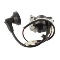 J-SKY 2 SPK    BOBINA ELETTRONICA  FIG 43