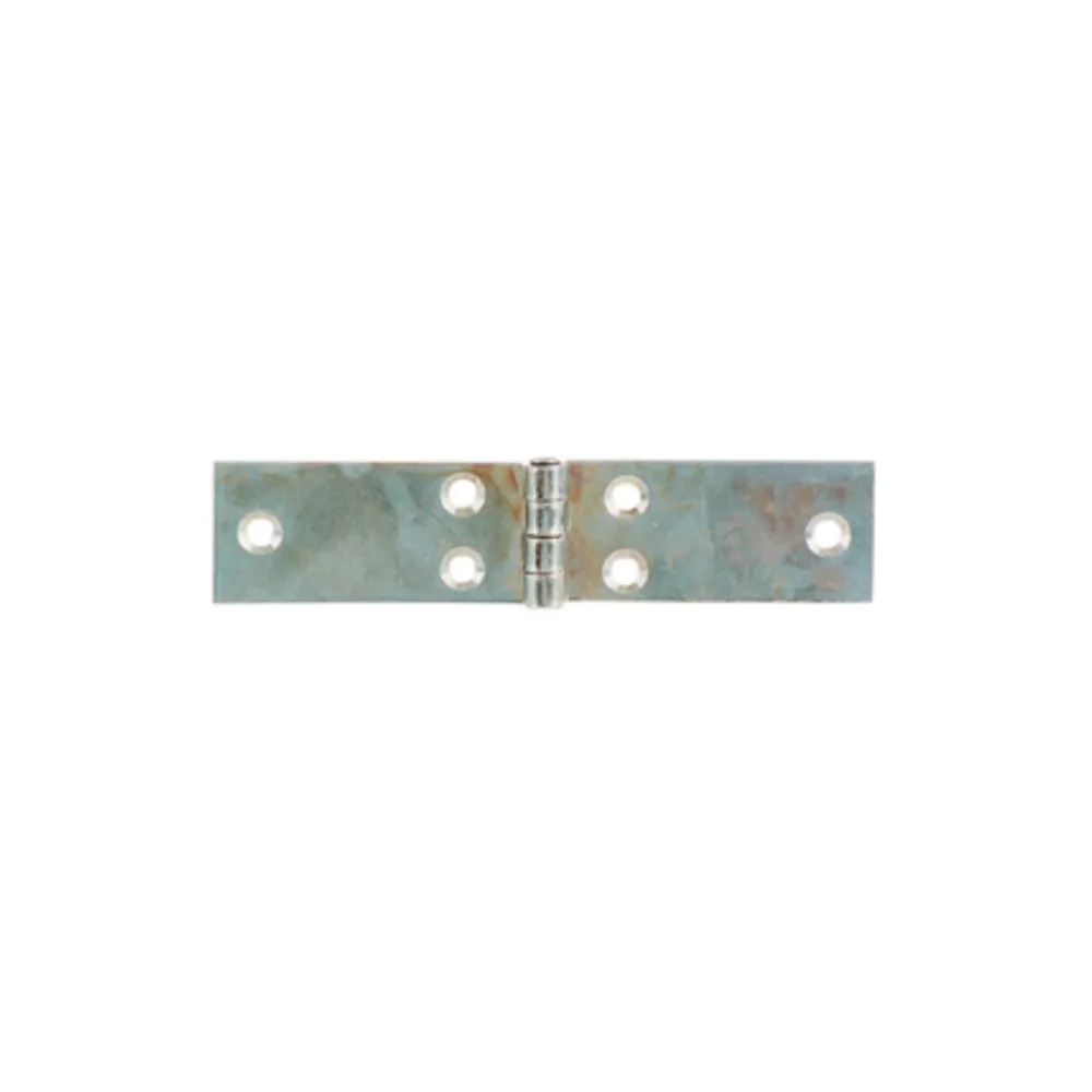 BL CERNIERA PERNO FISSO LUNGA 100X25 MM DA 2 PZ (6 BL CERNIERA PERNO FISSO LUNGA 100X25 MM DA 2 PZ (6