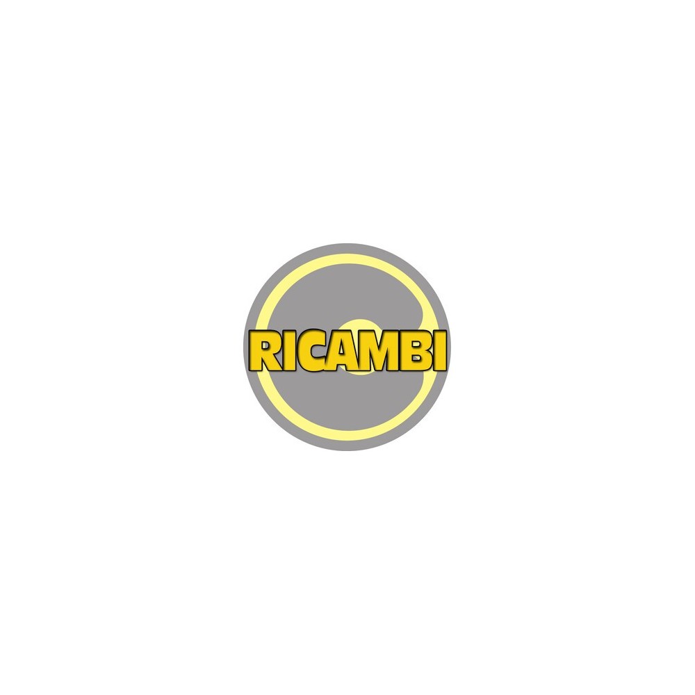 R REGOLATORE DI PRESSIONE P/COMPRESS  24L/24L SIL/50L