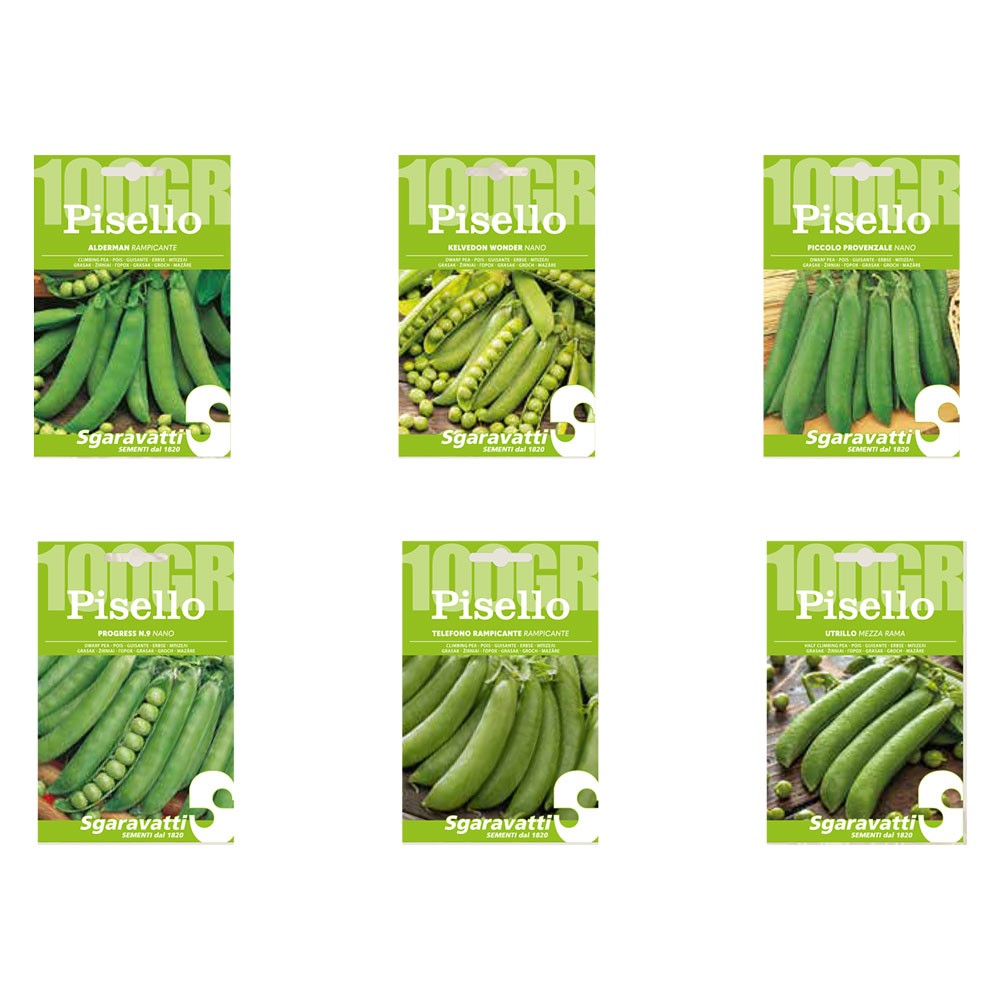 SEMI PER FAVE pisello progress n.9 - gr 100 SEMI PER FAVE pisello progress n.9 - gr 100