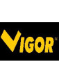 Vigor